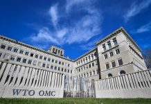India Set To Lose Major WTO Dispute To The US